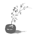 logo_accademia_essenziale_simbolo