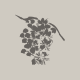 mirto_entrare_in_relazione (2)